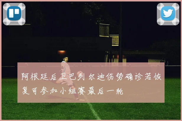 阿根廷后卫巴列尔迪伤势确诊若恢复可参加小组赛最后一轮